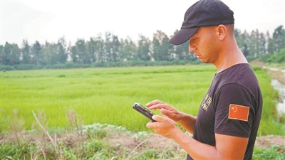 用无人机打农药超10万亩