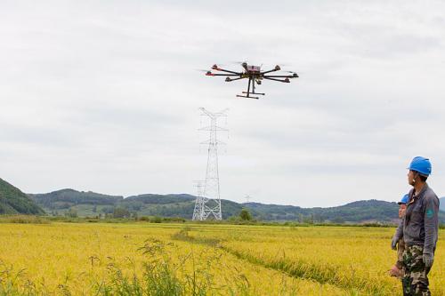 哈尔滨供电部门用无人机架设高压线 省时省力又护田