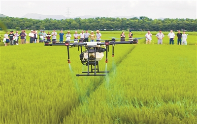 种粮大户学习无人机“飞防”