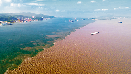 长江“三乱”诊治记