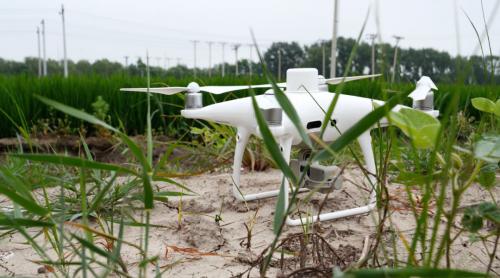 精灵4 RTK成为农业智能解决方案新成员，助辽宁18万亩水稻作业