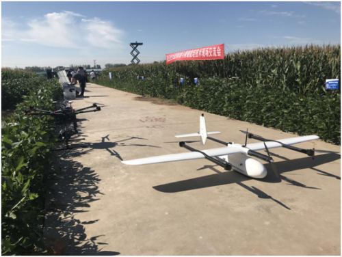 卫星+无人机+田间，“天空地”遥感技术为农业生产“保驾护航”