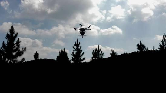 四川：用无人机给松树林“把脉”