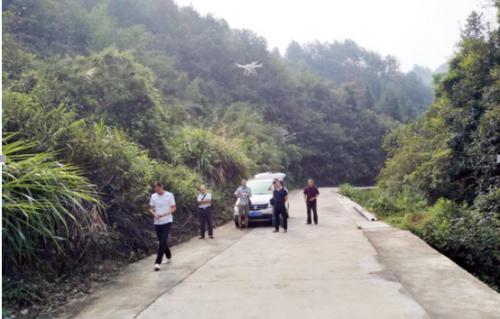 平江县林业局：利用无人机进行林业有害生物监测