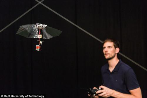 荷兰研究者发明外形类似果蝇的可飞行机器人