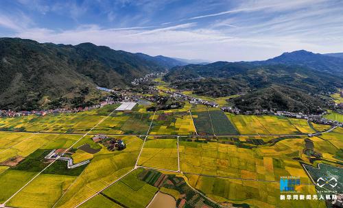 无人机航拍“巫山米仓” 十里平川尽秋色