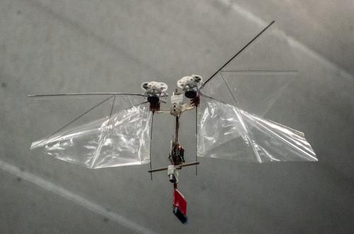 荷兰研发模仿昆虫飞行的机器人