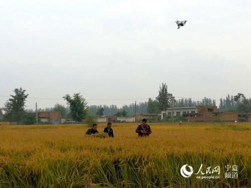 宁夏：农业统计调查开启无人机作业时代