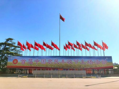 丰收节：致敬丰收背后的每一个你