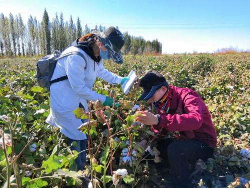 天途助力我国航空植保事业发展