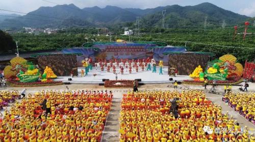 酷农植保无人机助力河南首届丰收节
