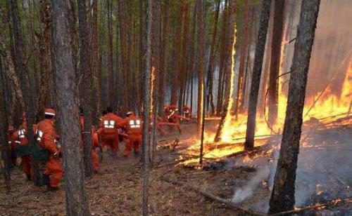 一年烧掉几百亿 森林防火难题何解？无人机或是良方