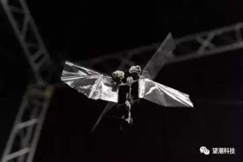 请注意！这是机器人，不是果蝇