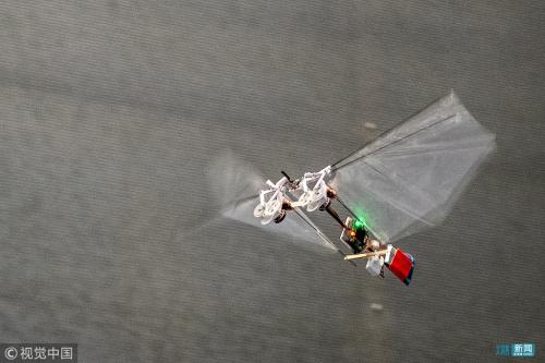 一小时可飞25公里！荷兰科学家研发超灵活昆虫机器人