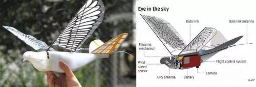 CICC科普栏目｜这些创意仿生动物无人机，让你惊掉下巴！