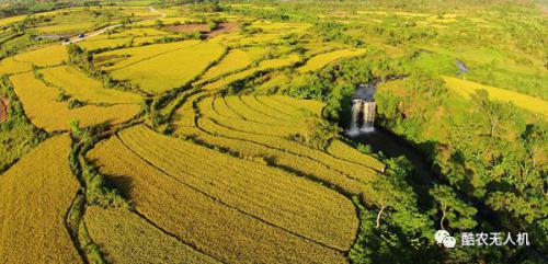 酷农无人机学习“丝路精神”