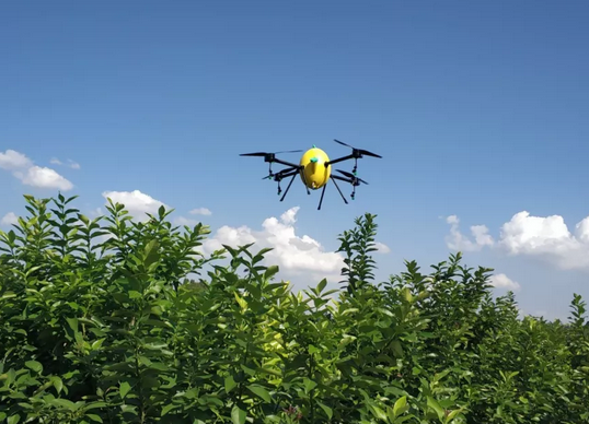 重庆潼南国际柠檬节 酷农无人机等待宾朋来