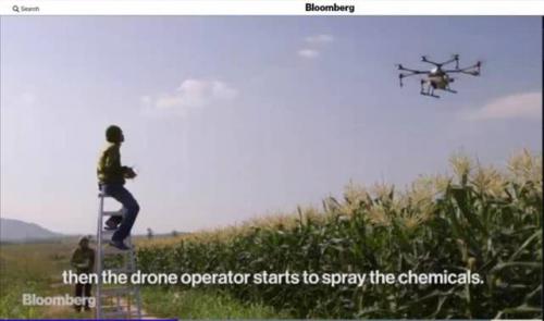 外媒关注中国农村之变：致富路上守住“乡愁”