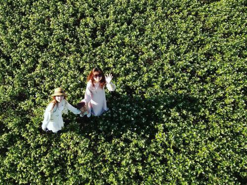 拥有零零无人机的小姐姐们都在做什么？