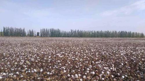 完美收官丨大疆农业千团大战作业达 1,063 万亩次