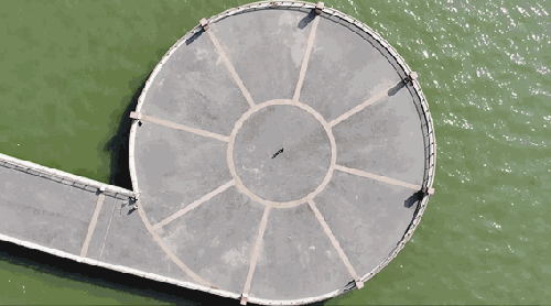 全民自拍潮，会飞的手机壳带你玩转自拍