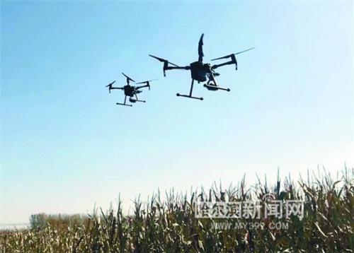 哈市无人机监控秸秆焚烧 1分钟巡查12平方公里