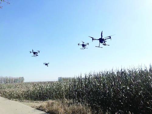 1分钟监控12平方公里能跟踪拍照取证 冰城无人机紧盯秸秆焚烧