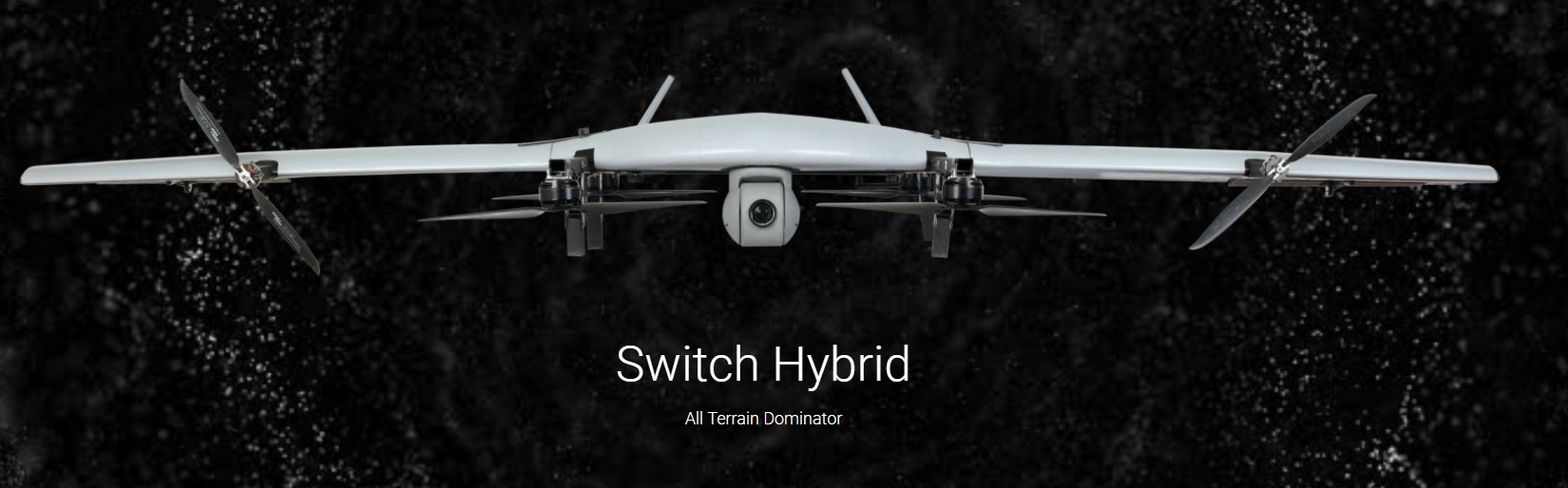 Switch Hybrid