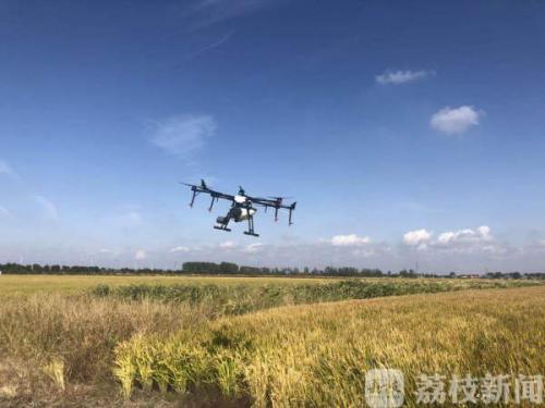 【新时代 新作为 新篇章】种水稻用上了卫星 他们为粮食丰产增效插上科技的翅膀！