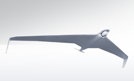 Беспилотное воздушное судно ZALA 421-16E5