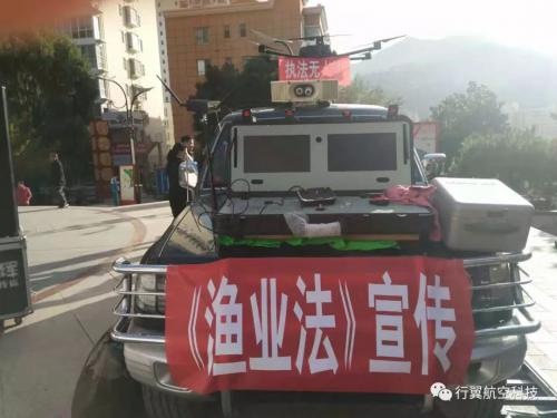 行翼航空关爱水生动物，共建和谐家园