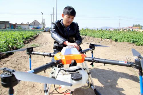 界河镇：飞防作业为秋季马铃薯保驾护航