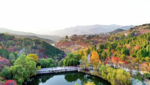 层林尽染霜叶红 济南这处美景不看就要等一年