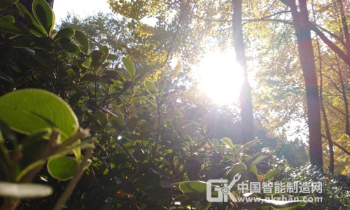 无人机巡查森林“蔚然成风” 或开启市场新契机