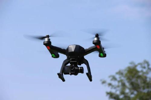 上海海湾国家森林公园禁止游客携带无人机私自放飞