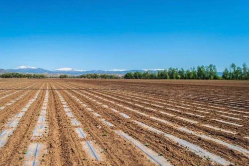 “成也地膜，败也地膜”？可能你不了解：大鹏地膜监测术