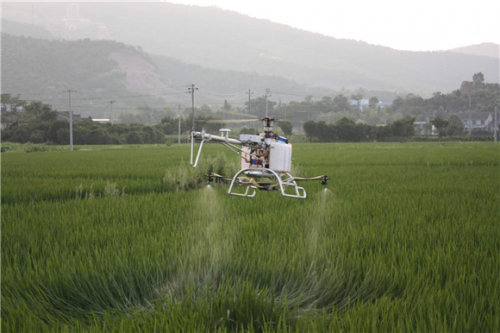 创建国家农产品质量安全市系列报告—— 农药减量增效水稻实现“绿色植保”