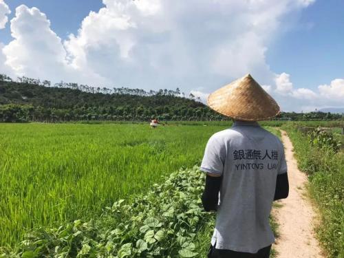 喜讯丨银通无人机再次入选山东省补贴名录