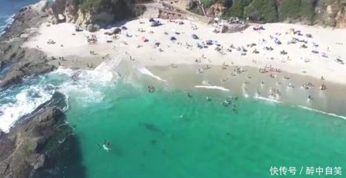 男子海边无人机航拍，拍到女游客游泳，意想不到的事情发生了