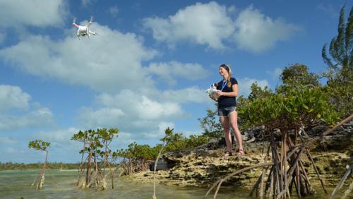 北卡罗来纳州立大学科学家用日常无人机追踪鲨鱼
