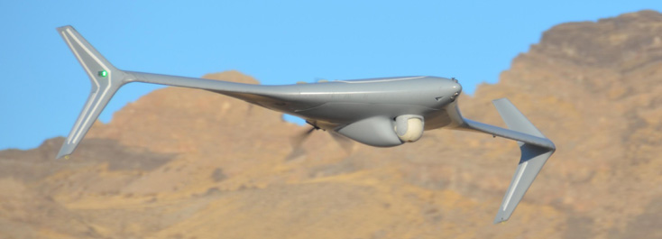 蝙蝠无人机系统(UAS)