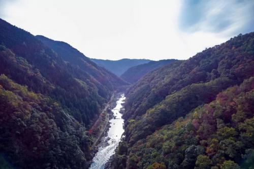 他飞遍千山万水，只为更加爱护你