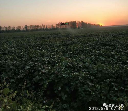 植保无人机代替传统喷雾器进行植保作业靠谱吗？