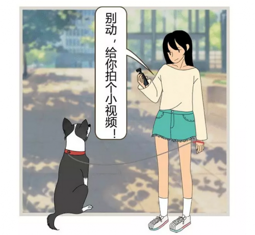 口 袋 去 哪 了 ？