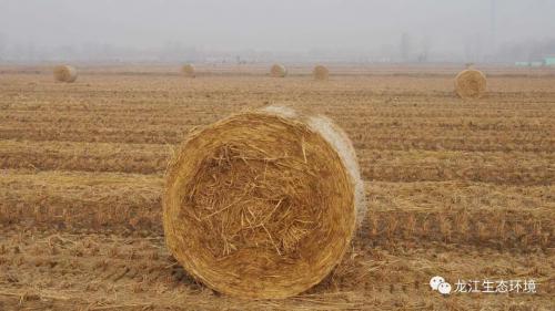有效解决秸秆露天焚烧攻坚战丨督查组利用无人机进行高空巡查