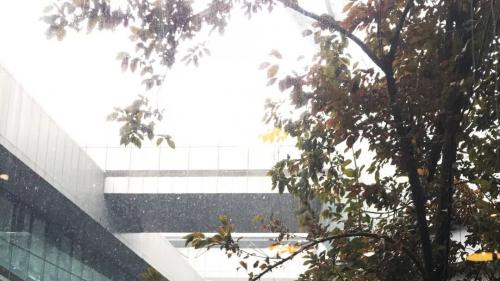 全国巡演·杭州站|若联科技无人机编队灯光秀套装