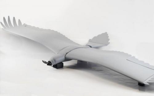 新型无人机曝光 利用阵风和热量飞行