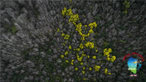 飞越沁源·全国无人机航拍大赛获奖作品展