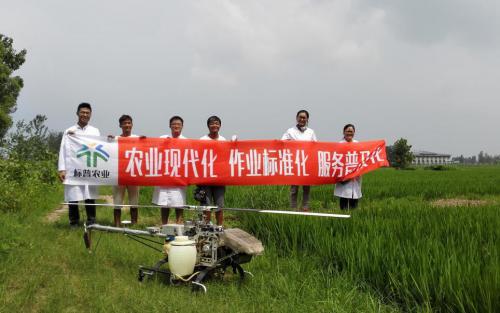 植保无人机打药试验一水稻