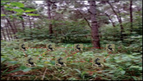 云都科技MIMO低频Mesh机器人组网